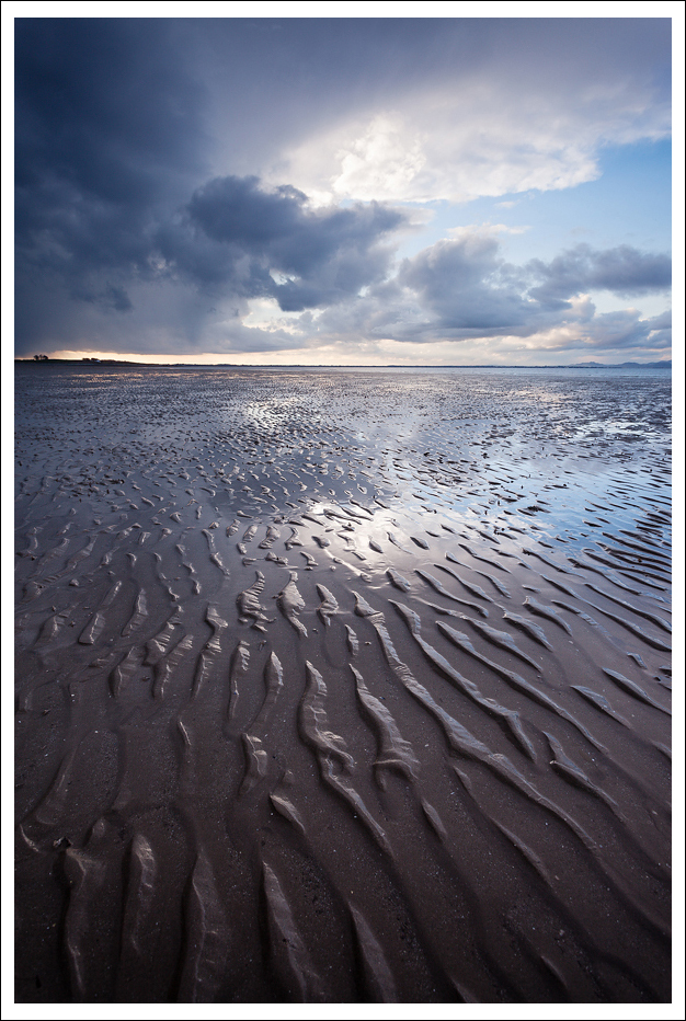 Evening Light, Co Louth