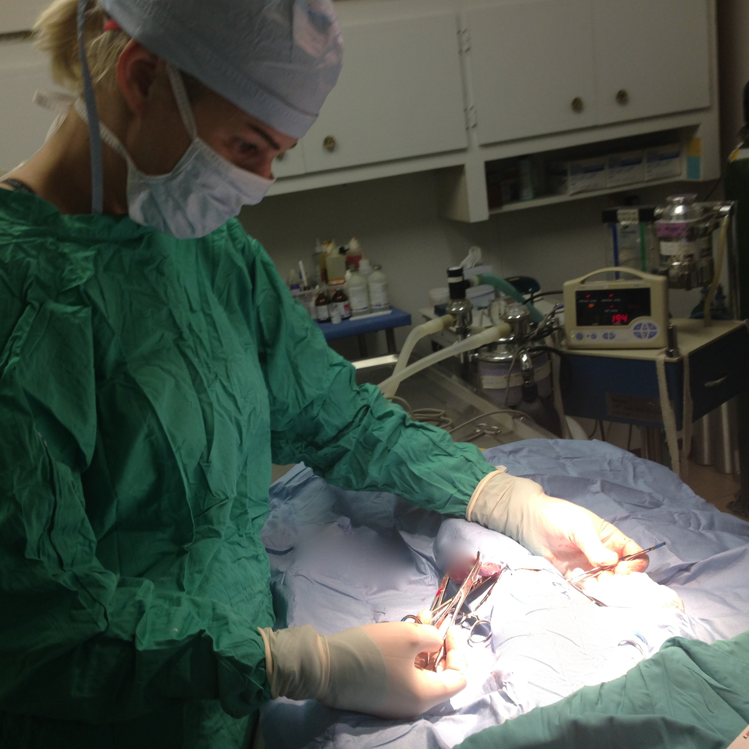 A Spay In the Life (a Home-Made Video)