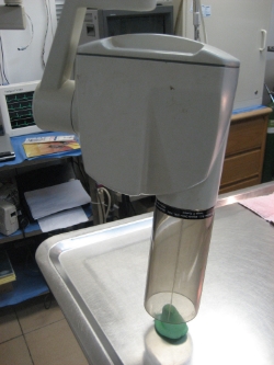 Dental X-rays are sometimes considered more accurate for peeps