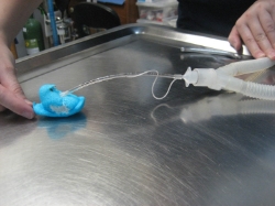 Peep Intubation is an inexact science