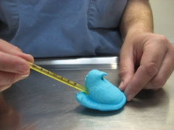 Peep temperature (old schoolthermometers are believed to be best for peeps)