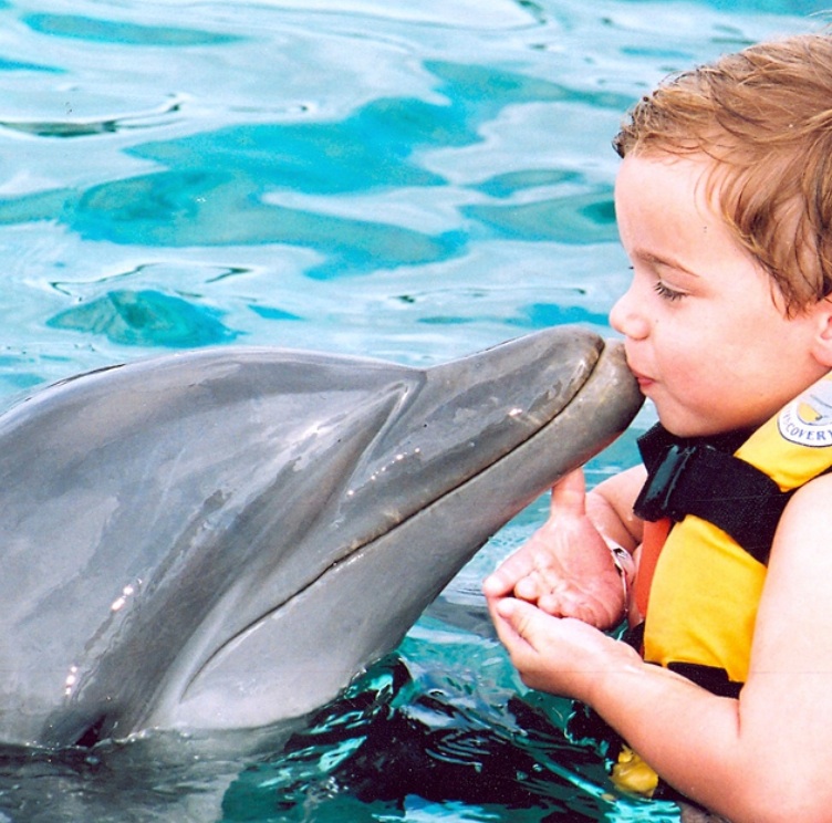 Why You Shouldn’t Swim With the Dolphins This Summer