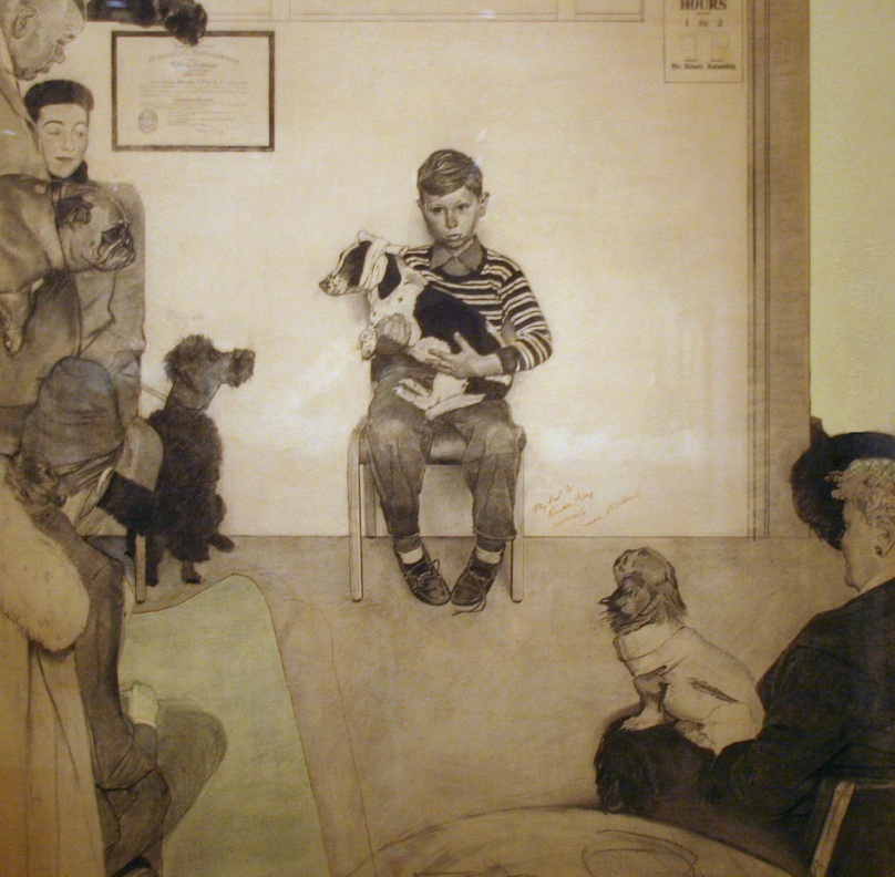 Six Vaccine Tips Veterinarians Stand Behind: But Do You?