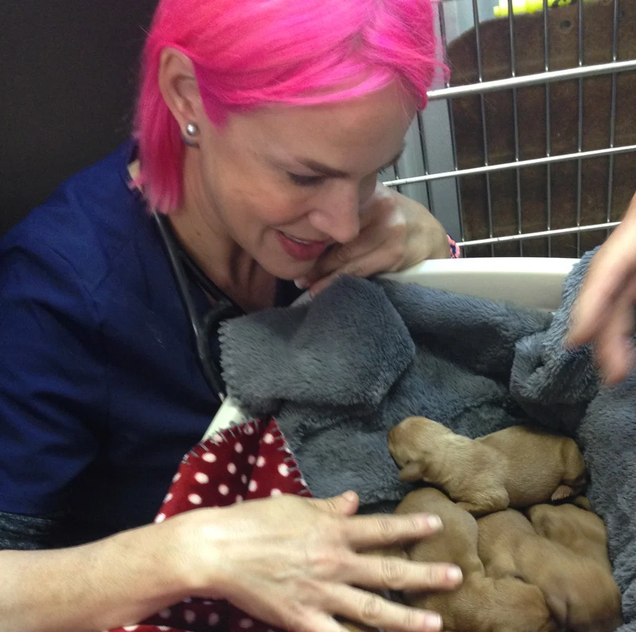 #ILookLikeASurgeon … Because Diversity Matters In Veterinary Medicine Too