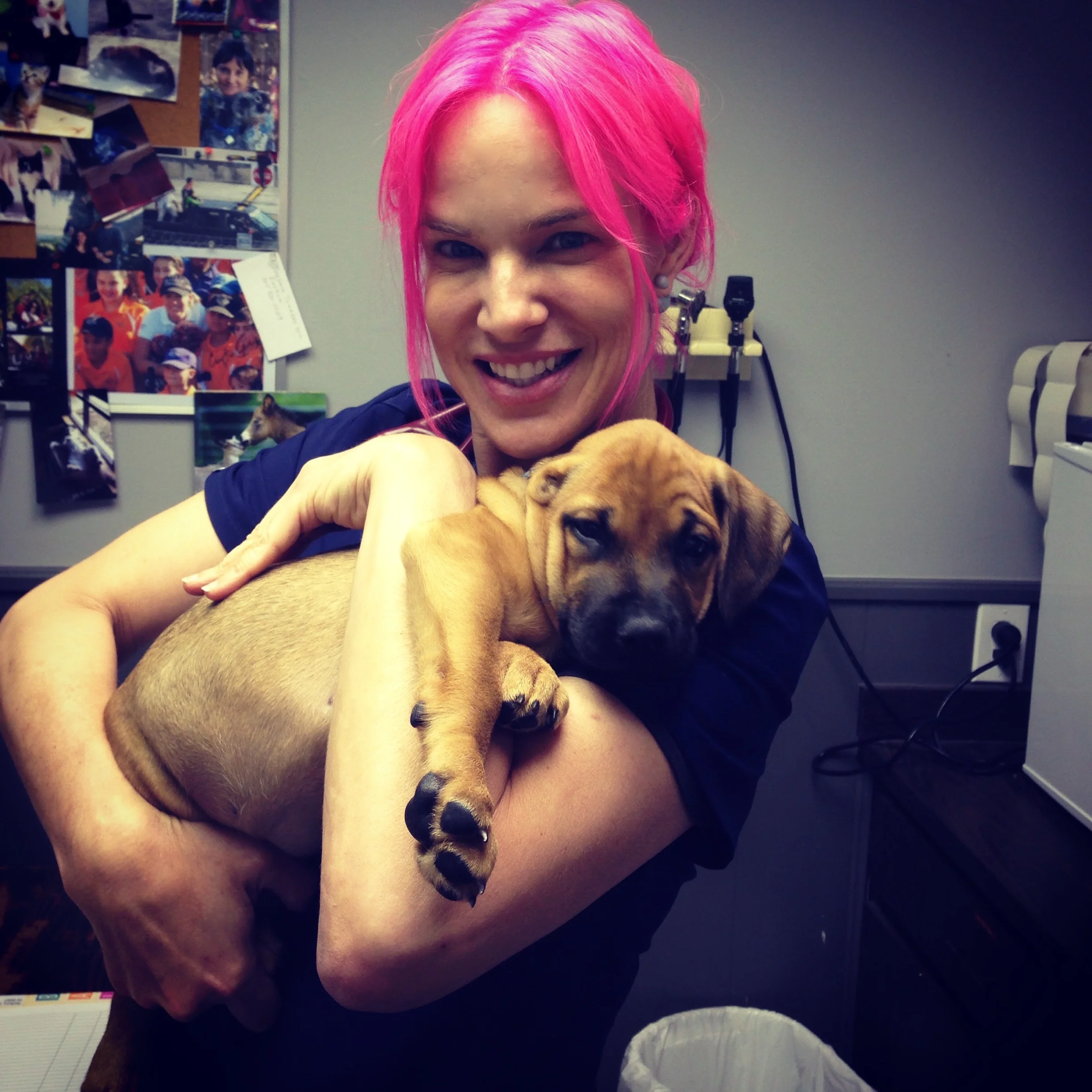 Thanksgiving 2015: Be the Person Your Pets Think You Are