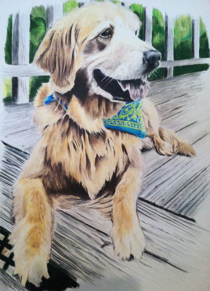   Ireland-18 X 24 Prismacolor Color Pencil    For&nbsp;Martha&nbsp;Touchstone courtesy of Donna Touchstone    Greensboro, NC-May 2012  