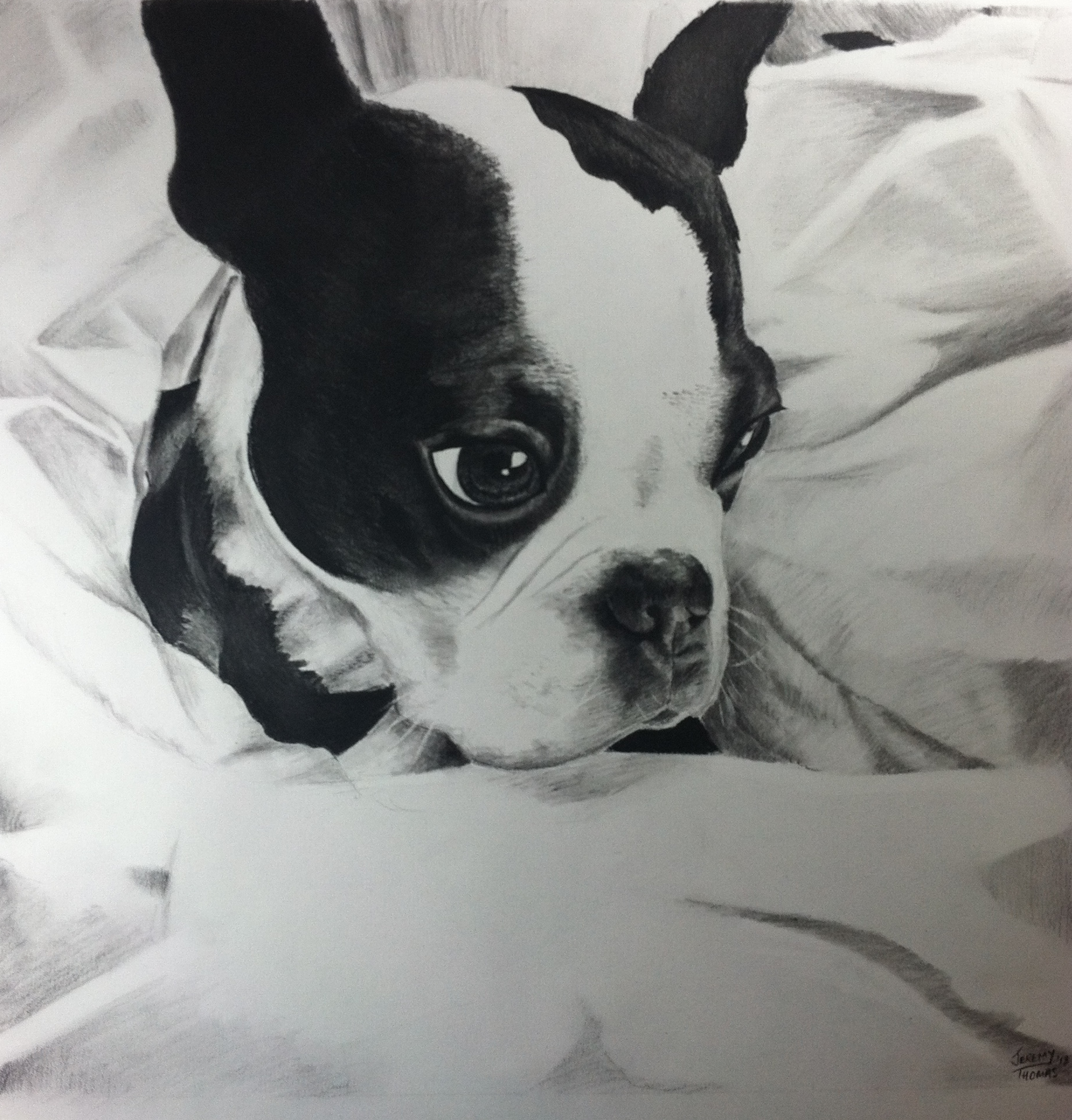   Charlie-18x18 Charcoal    Wedding Present for Jamie and Dave Fason     January 2013  