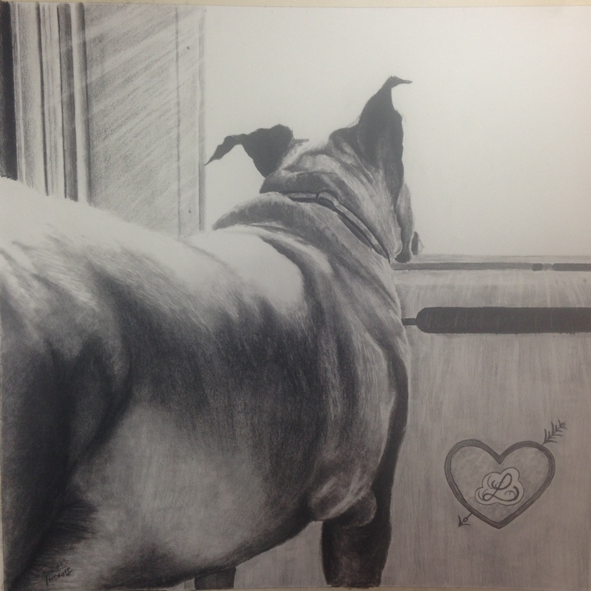  Lily-18x18 Charcoal  For Morgan Jones, Greensboro, NC 