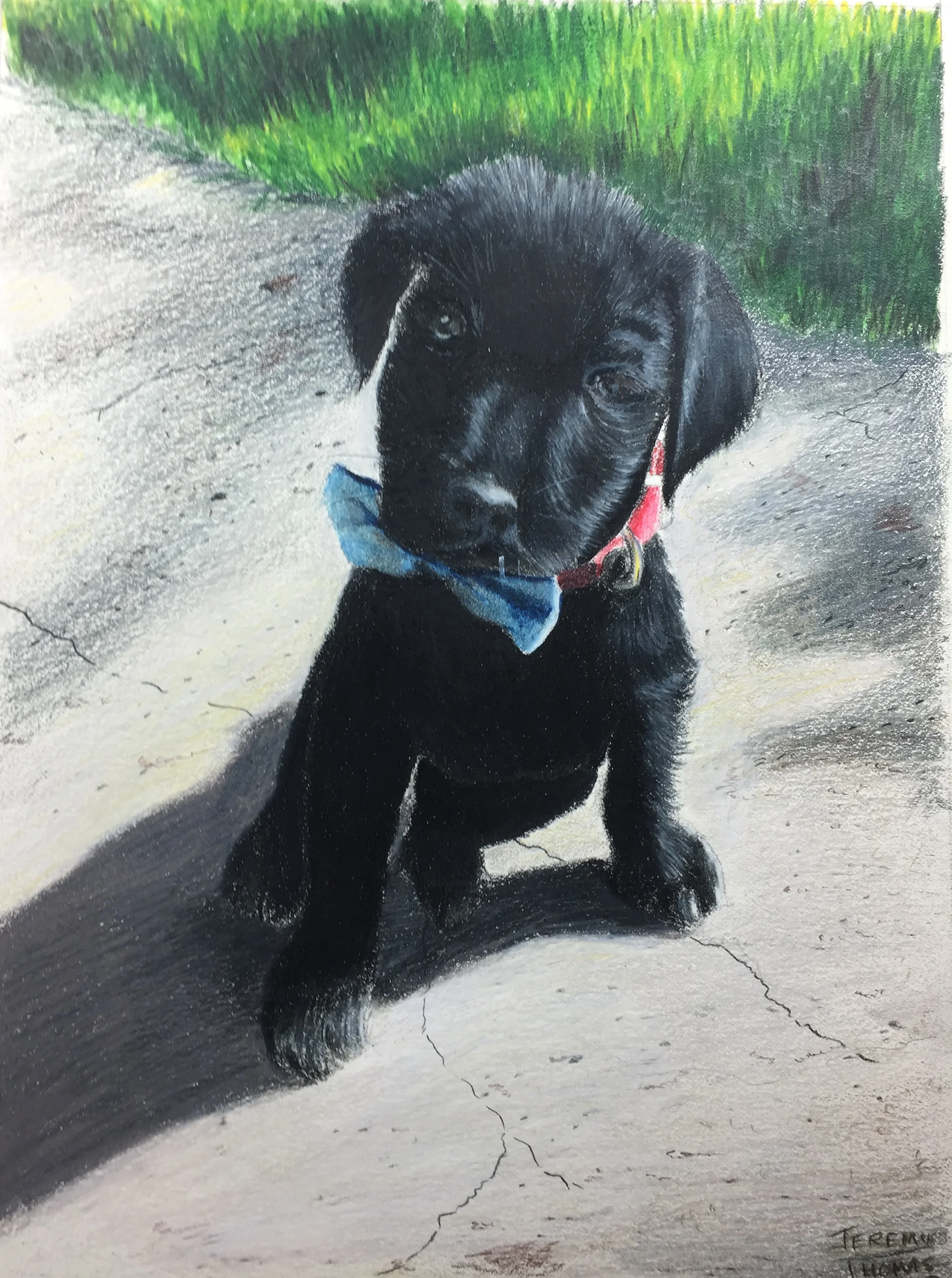 Tucker