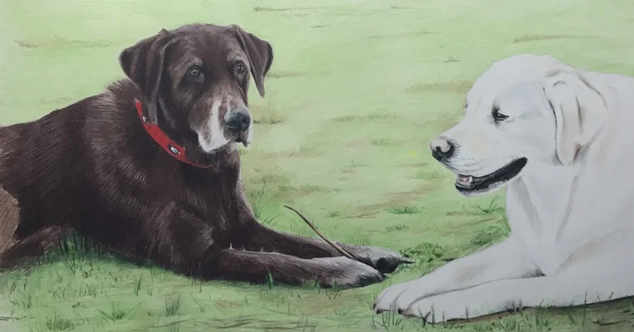 FullSizeRender 2.jpg