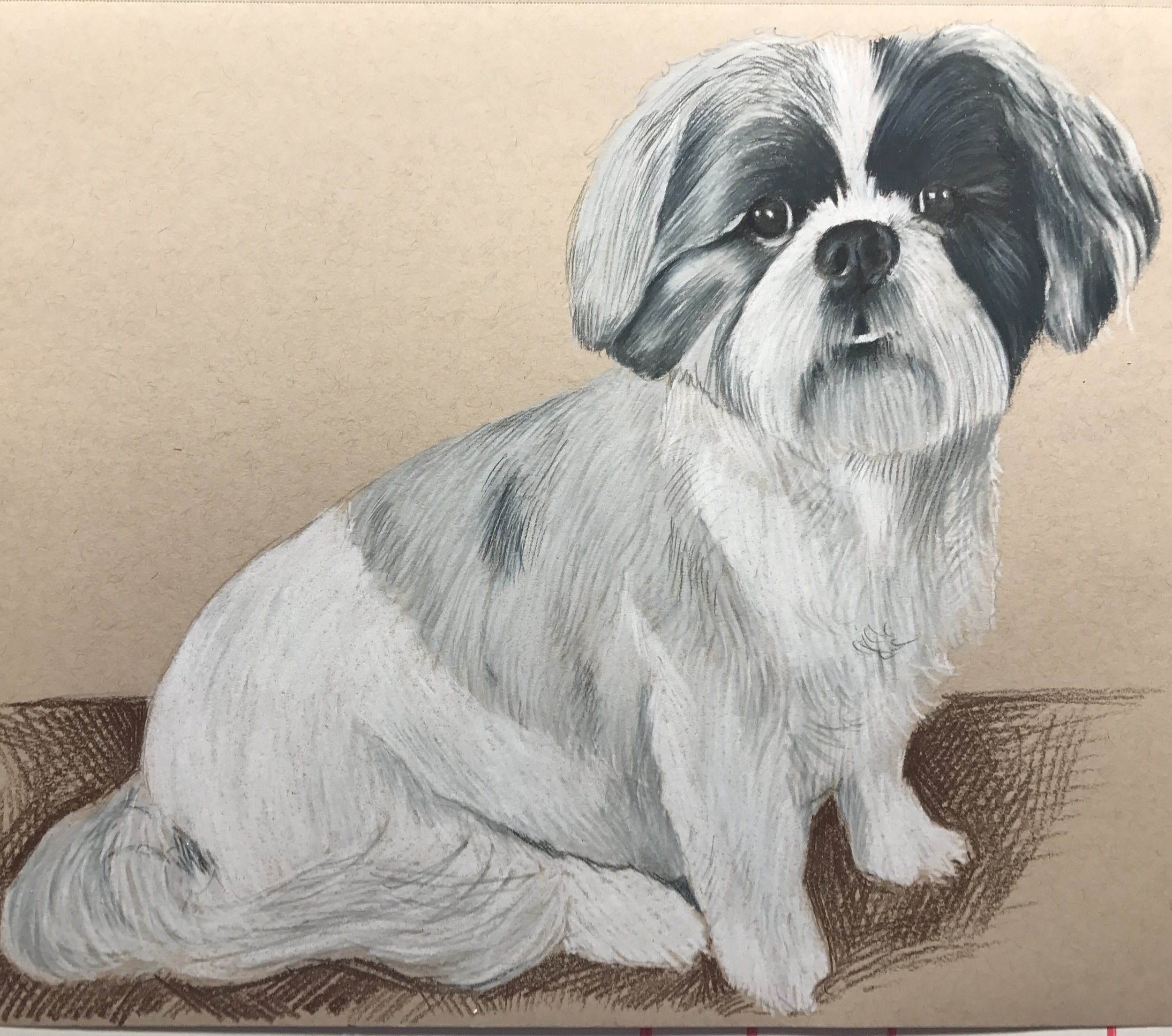 FullSizeRender 12.jpg