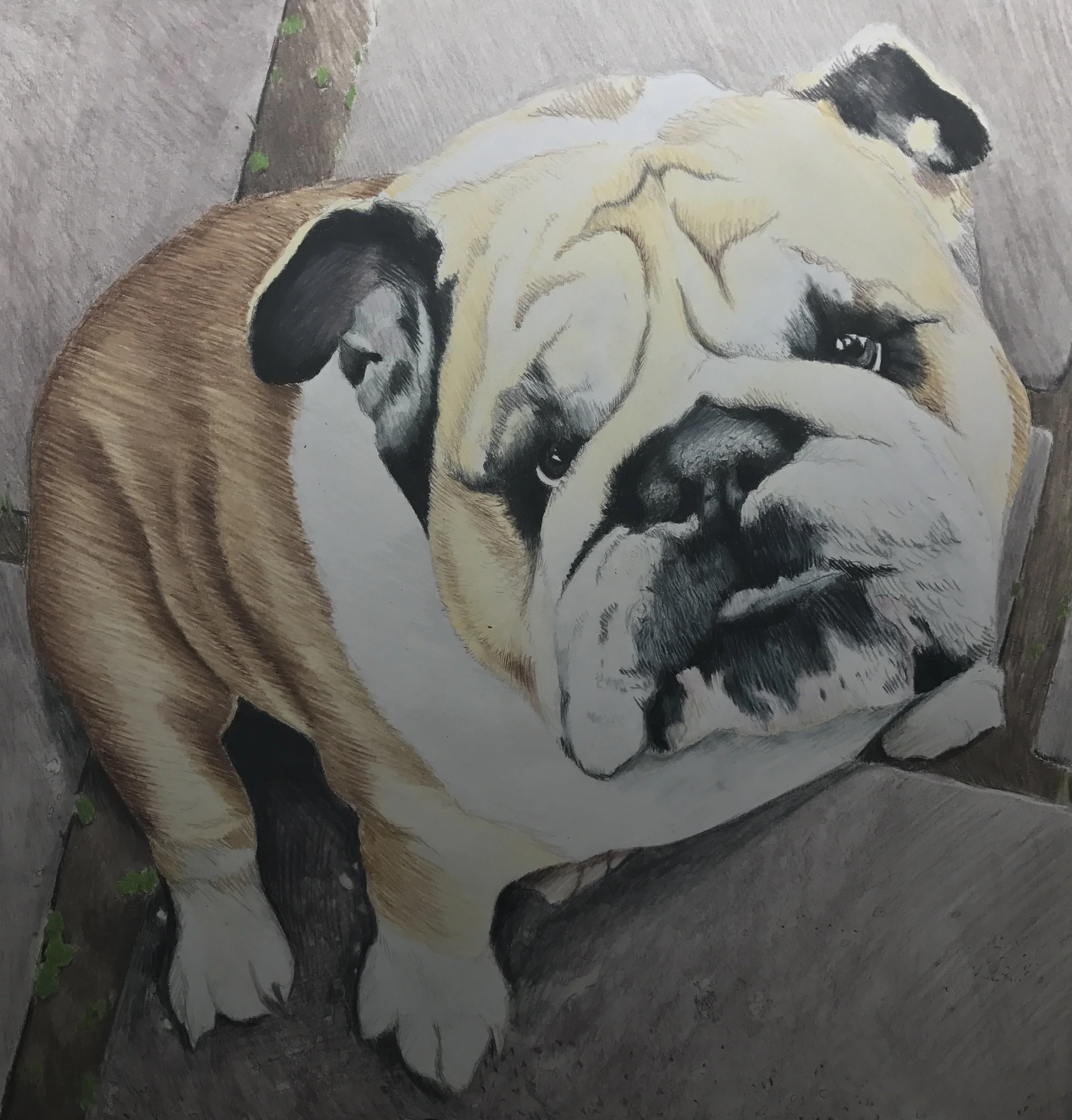 FullSizeRender 9.jpg