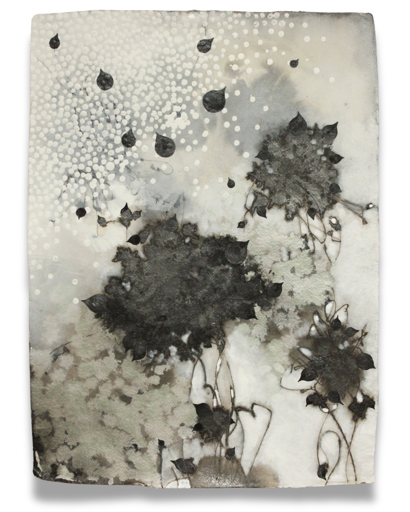 Black Fleur 125- 30x22_-mm on paper.jpg