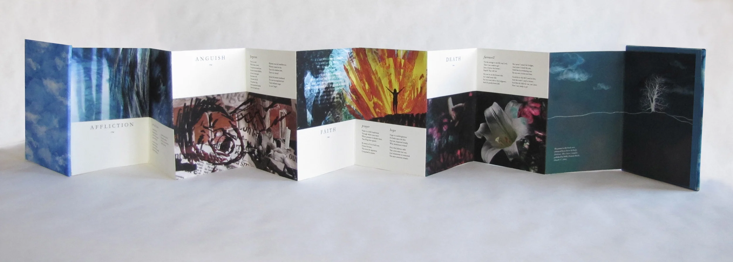 In This Short Life, Illustrated Poems of Emily Dickenson