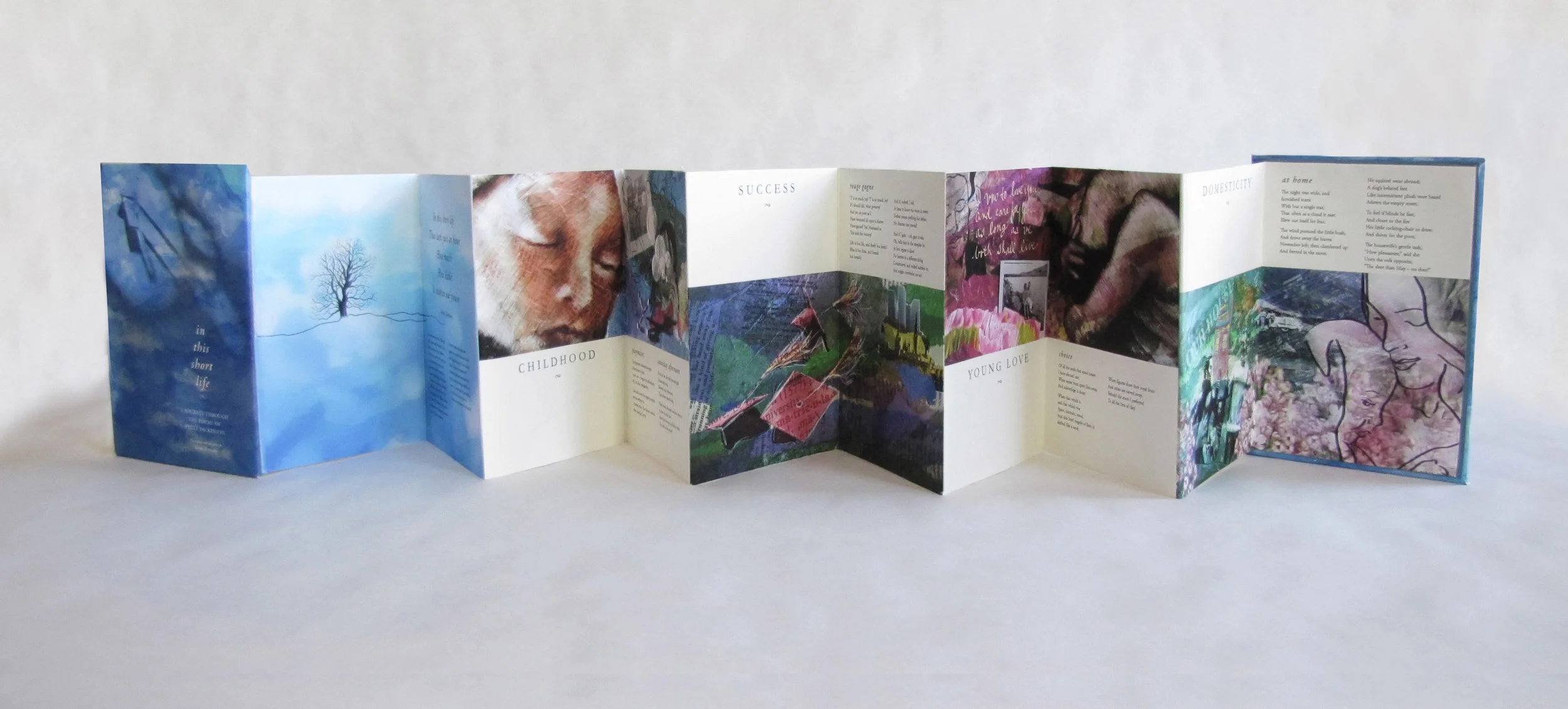 In This Short Life, Illustrated Poems of Emily Dickenson