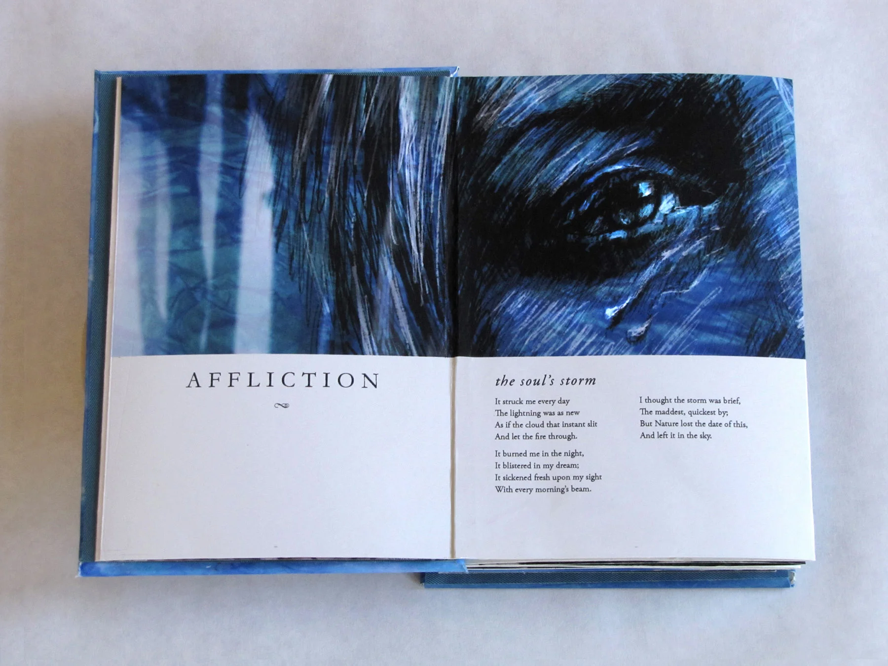 In This Short Life, Illustrated Poems of Emily Dickenson