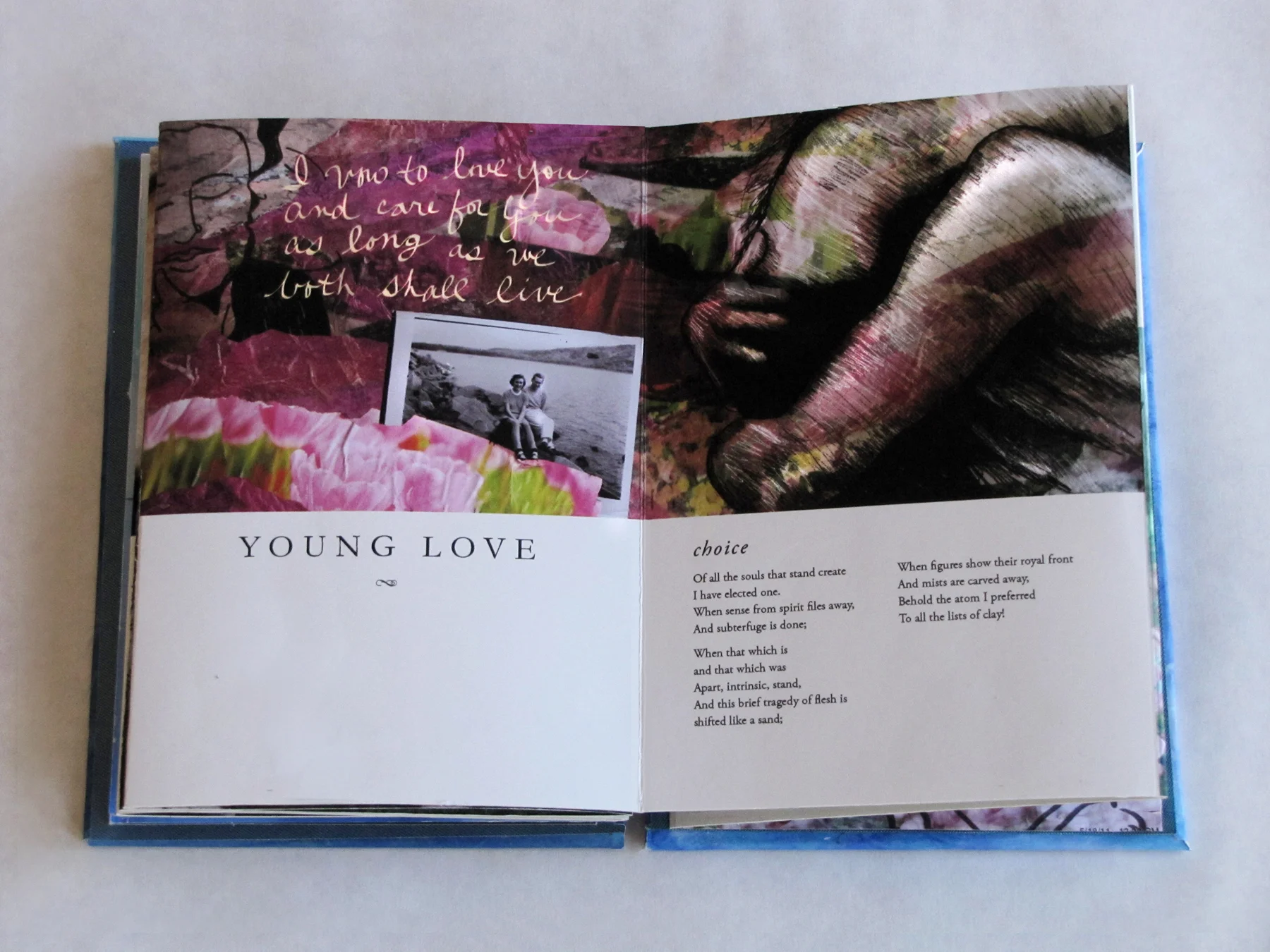 In This Short Life, Illustrated Poems of Emily Dickenson