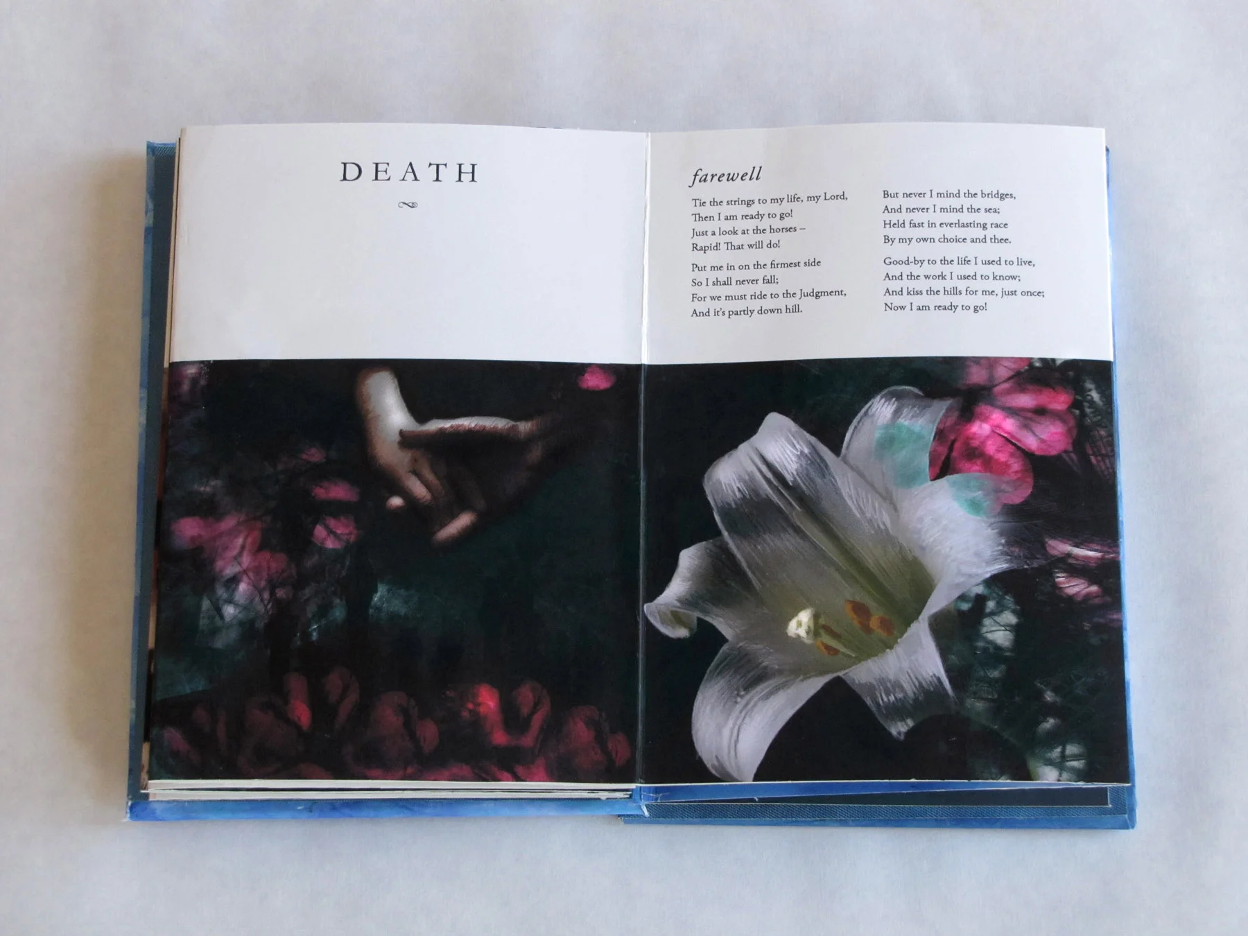 In This Short Life, Illustrated Poems of Emily Dickenson