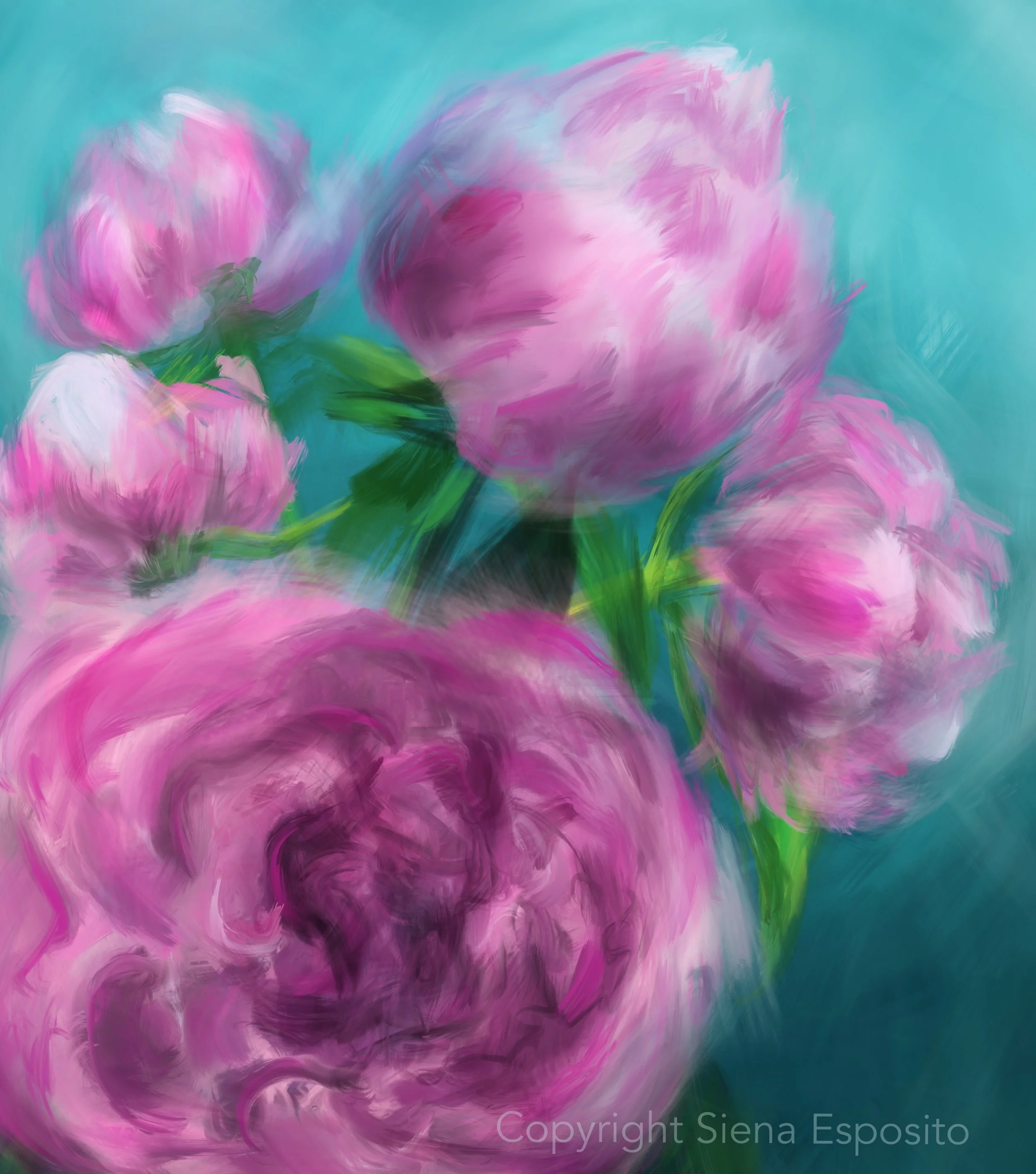 Peonies