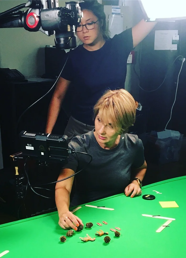 behind stop motion.JPG