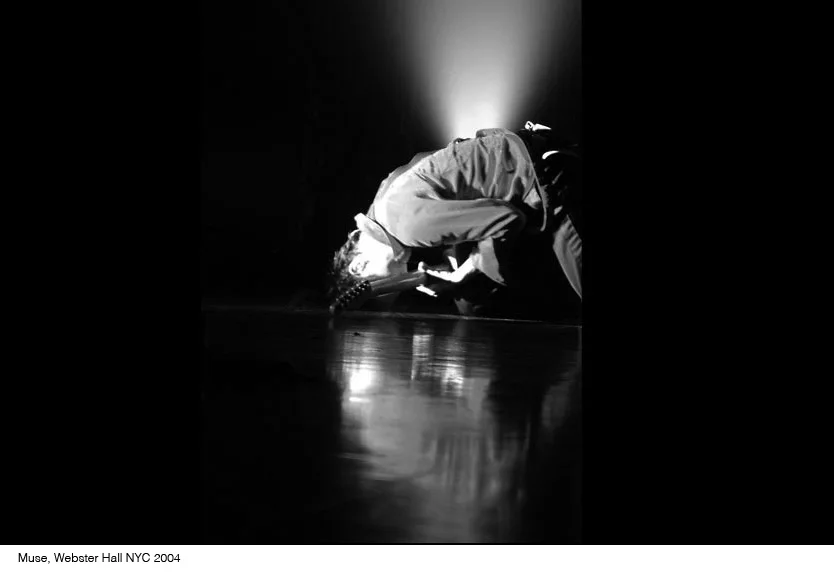 p2_squarespace_muse_labeled.jpg