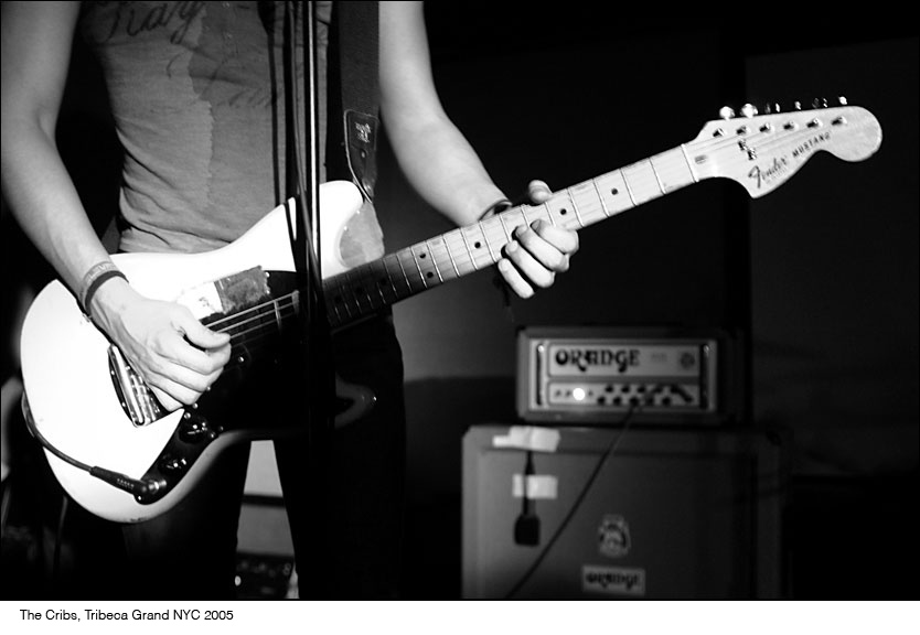 p2_squarespace_thecribs_labeled.jpg