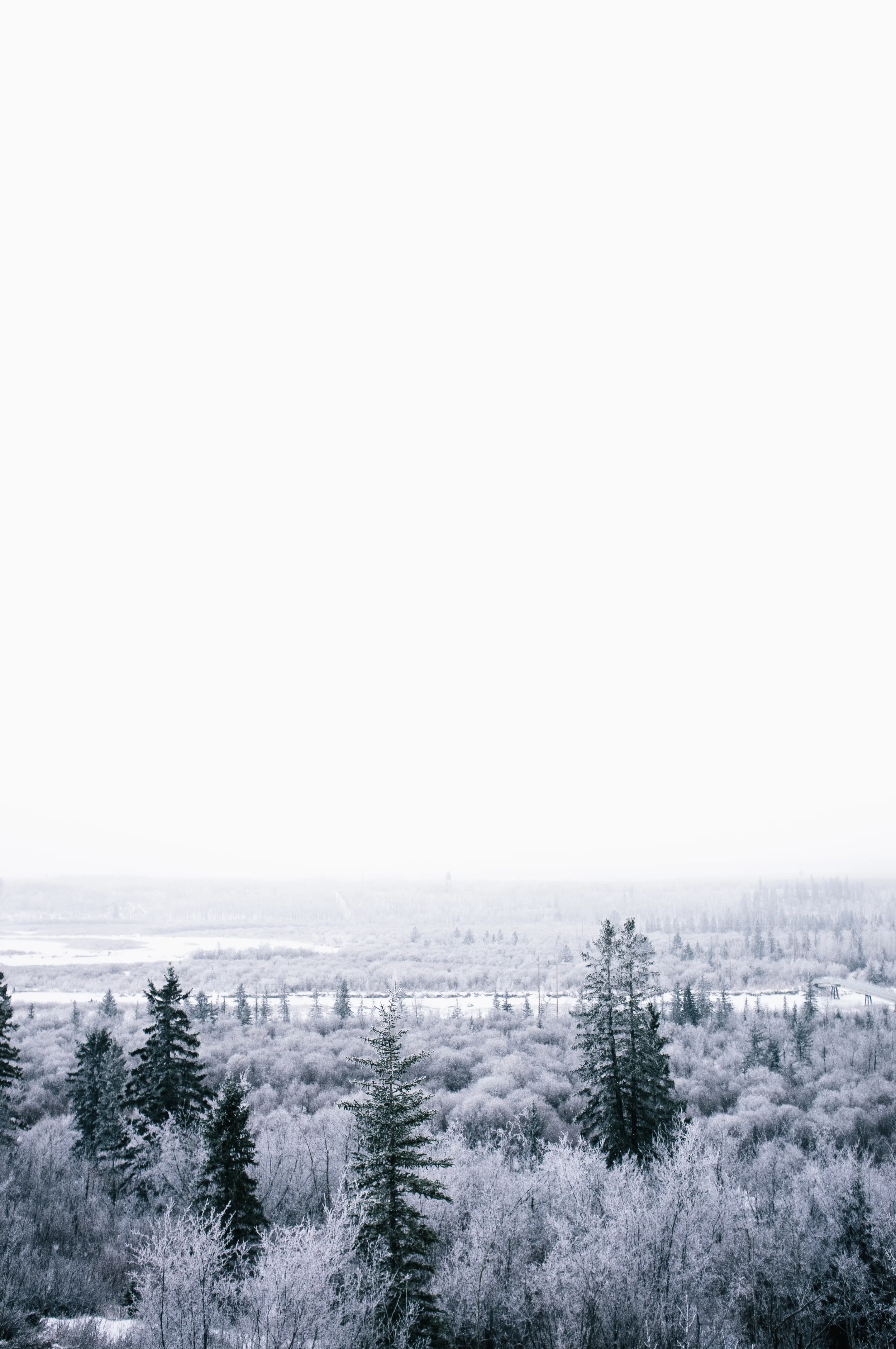 Weaselhead Flats. Calgary, Alberta, 2013.