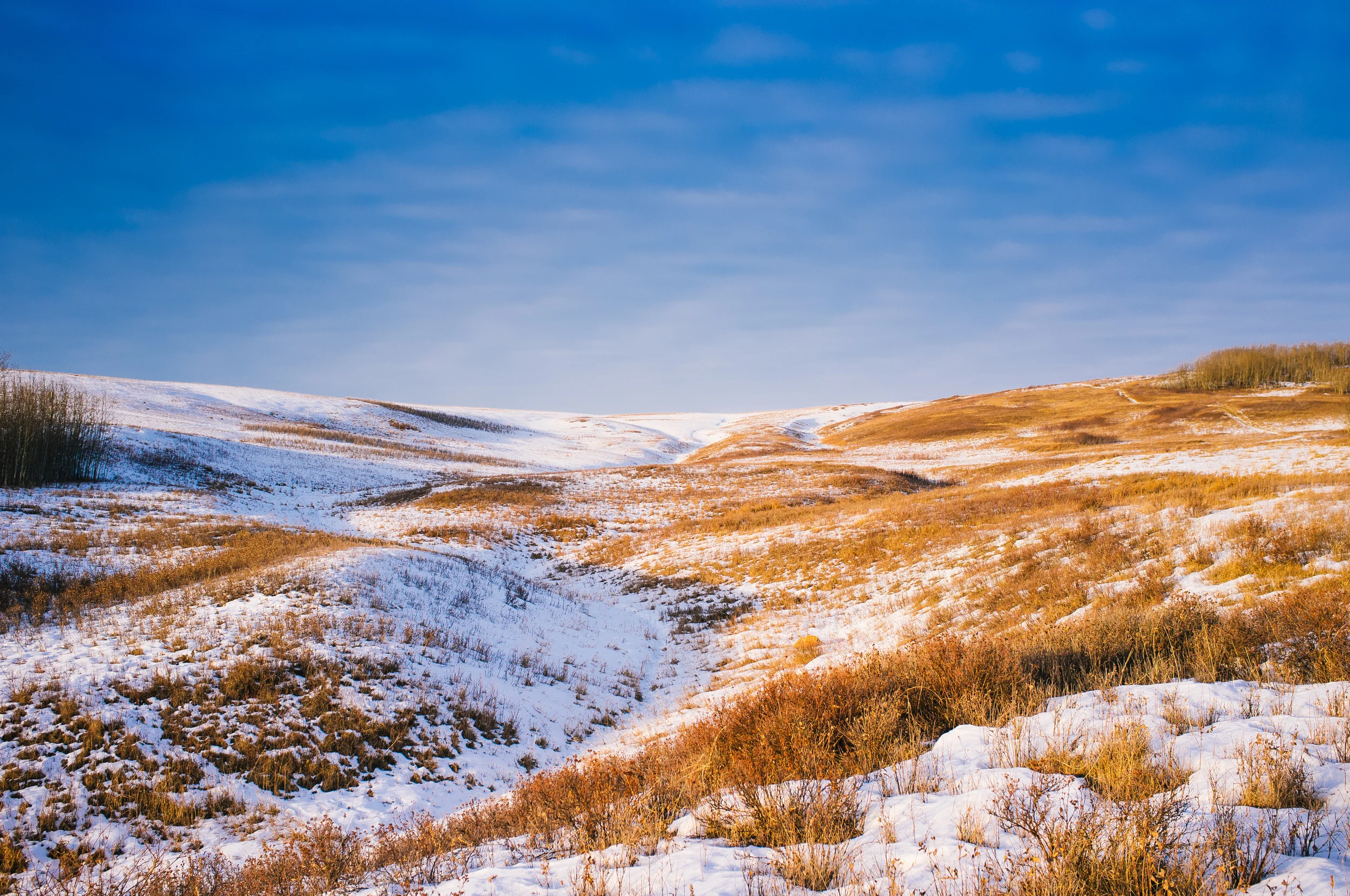 Nose Hill, Alberta, 2013.