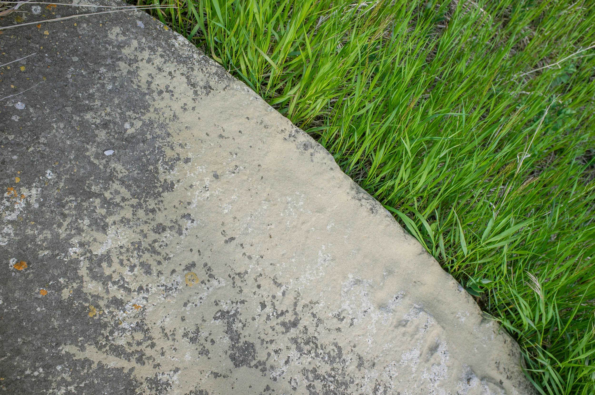 20130616-DSCF1789.jpg
