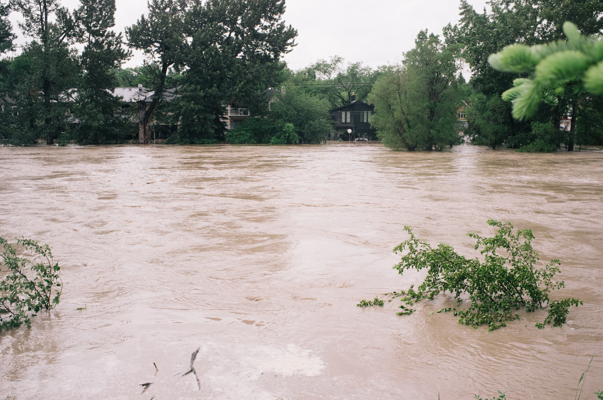 Some of the Riverdale homes I photographed yesterday are under water. Elbow River from Sifton Road.