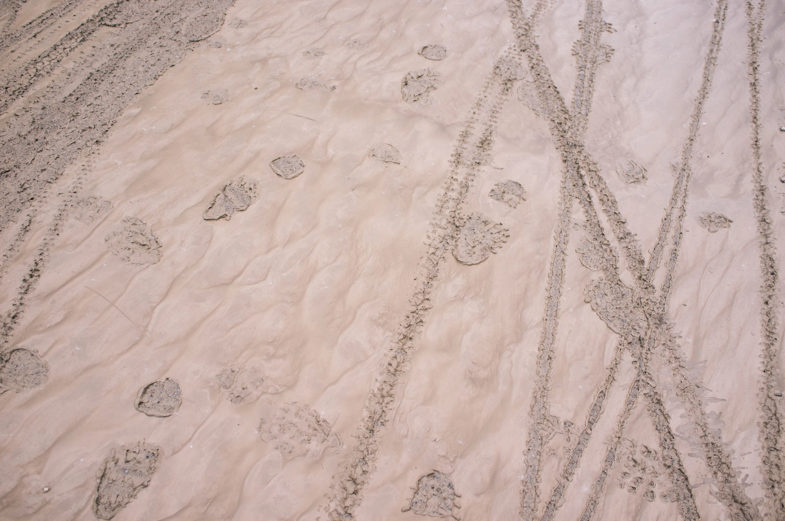 Silt on Elbow Drive.