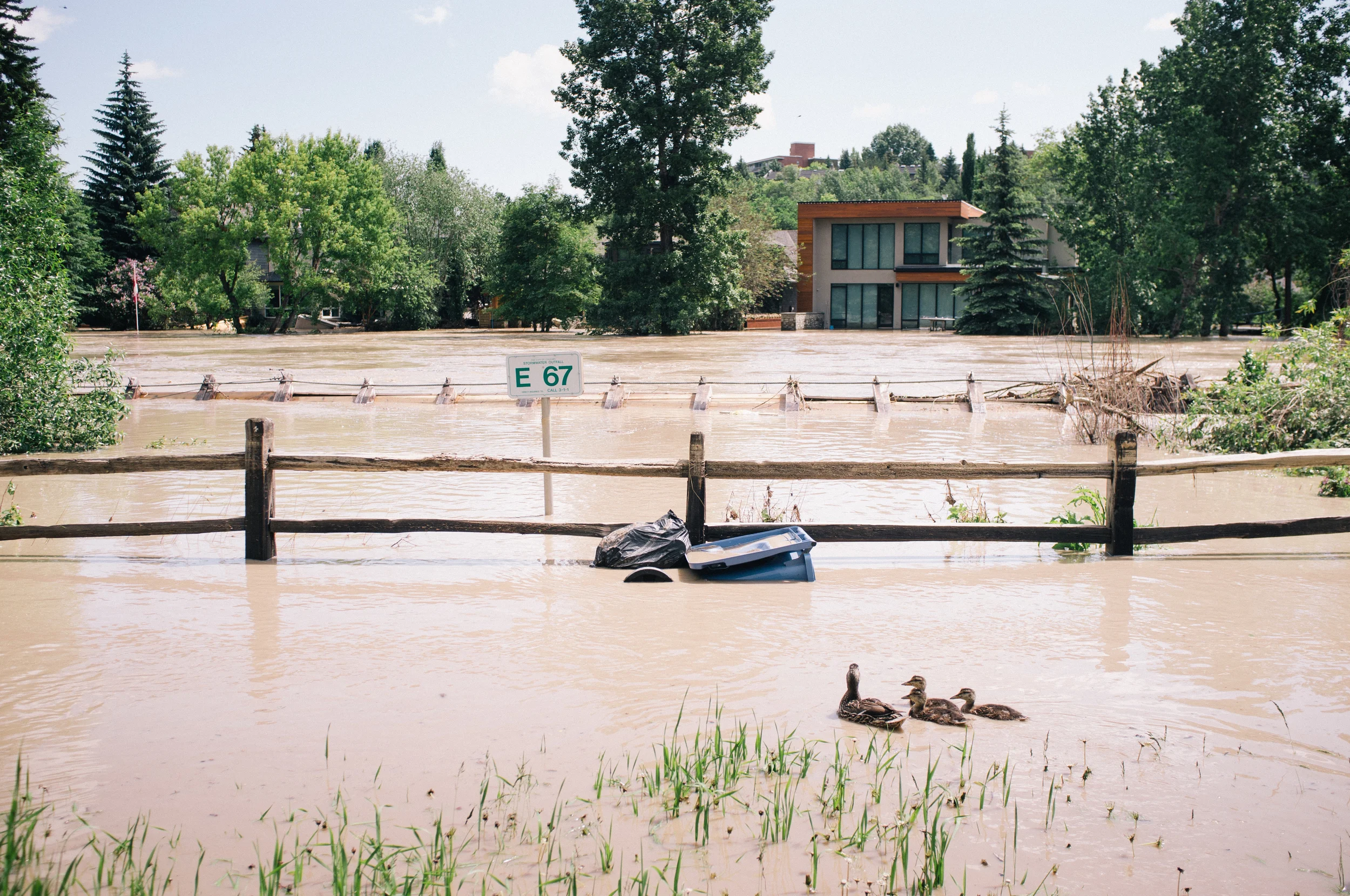 Flooded homes and the remains of the footbridge on the banks of the Elbow River. (See: Thursday)