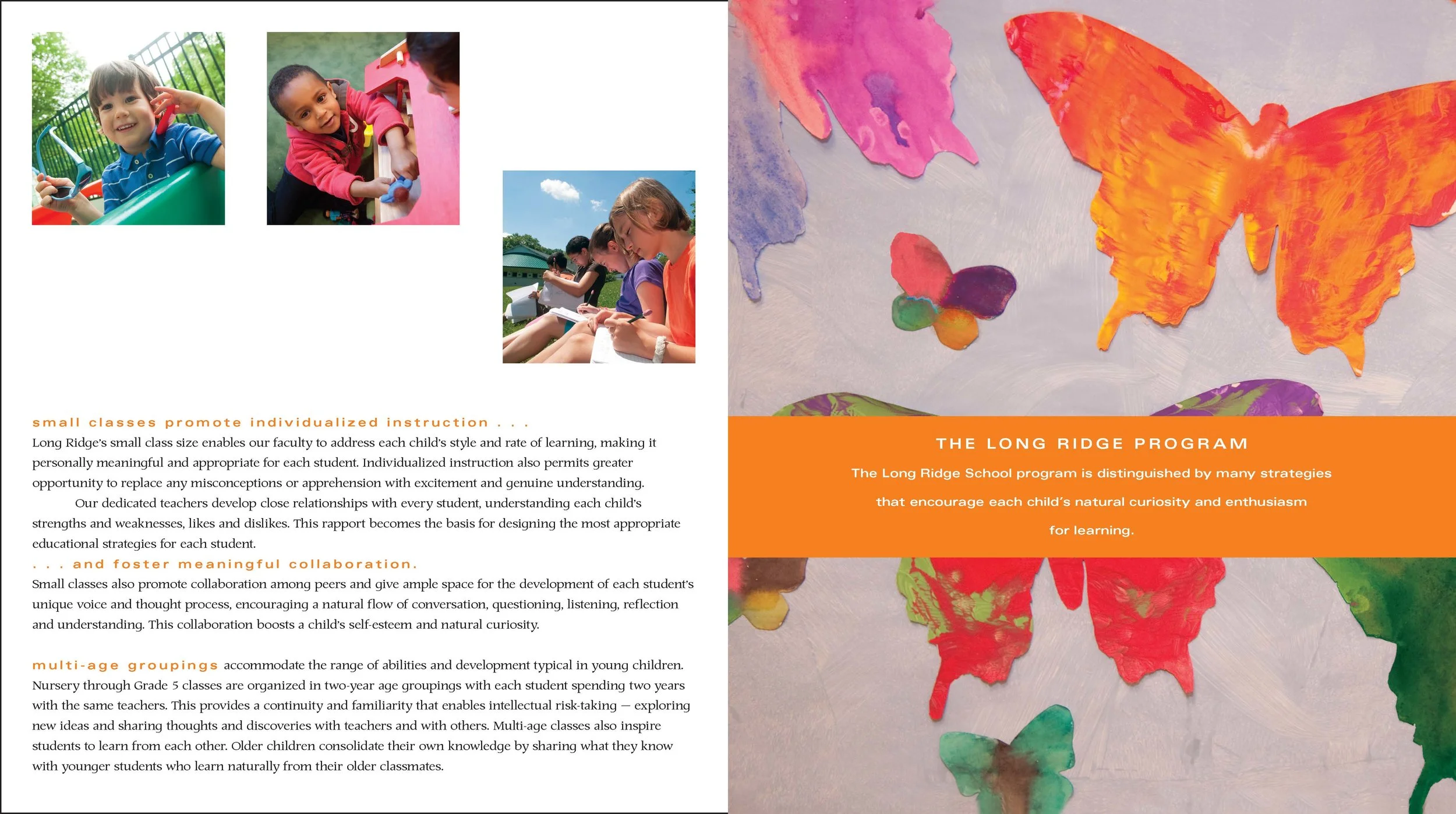 LRS brochure w-. gatefolds_Page_05.jpg