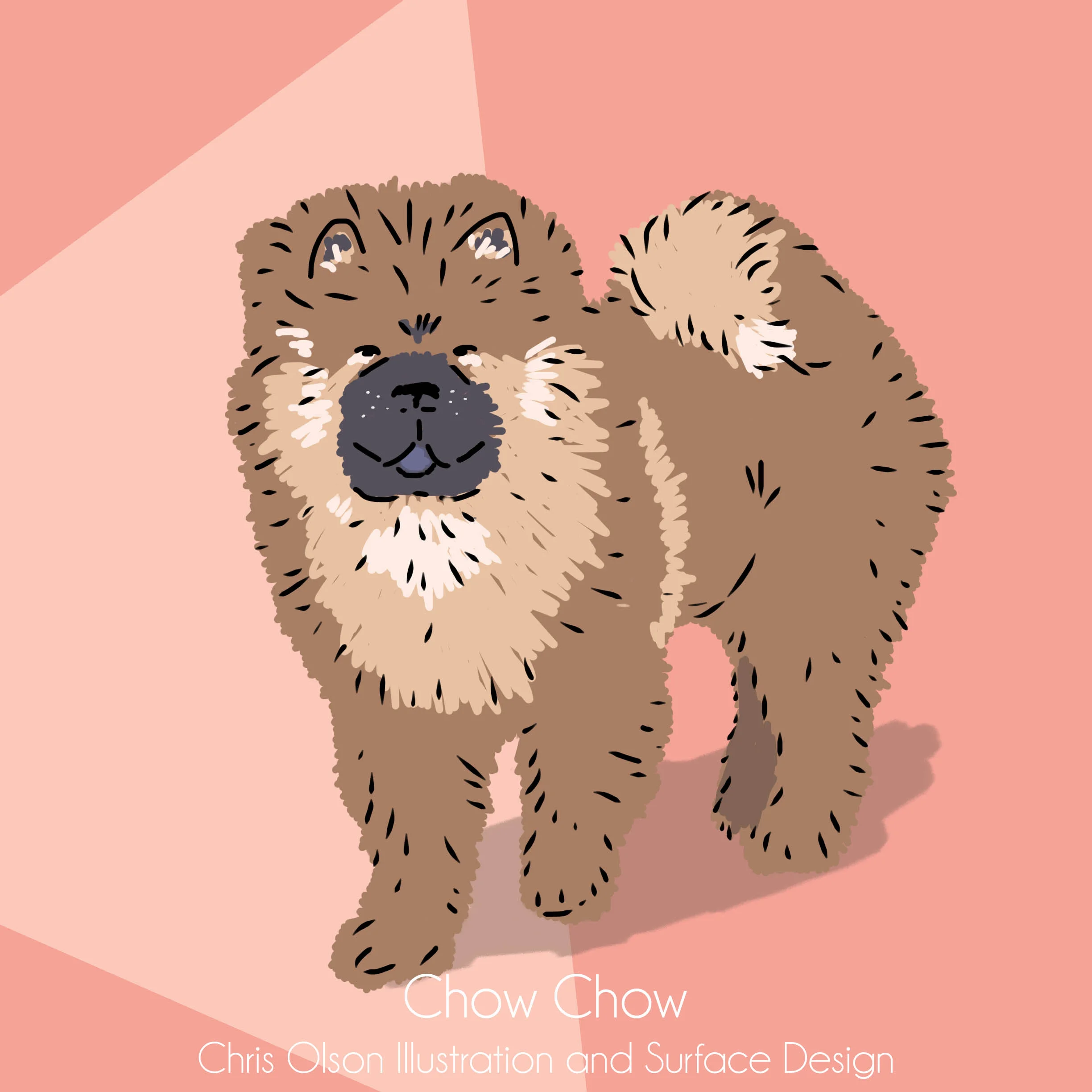 Chow Chow dog art by Chris Olson