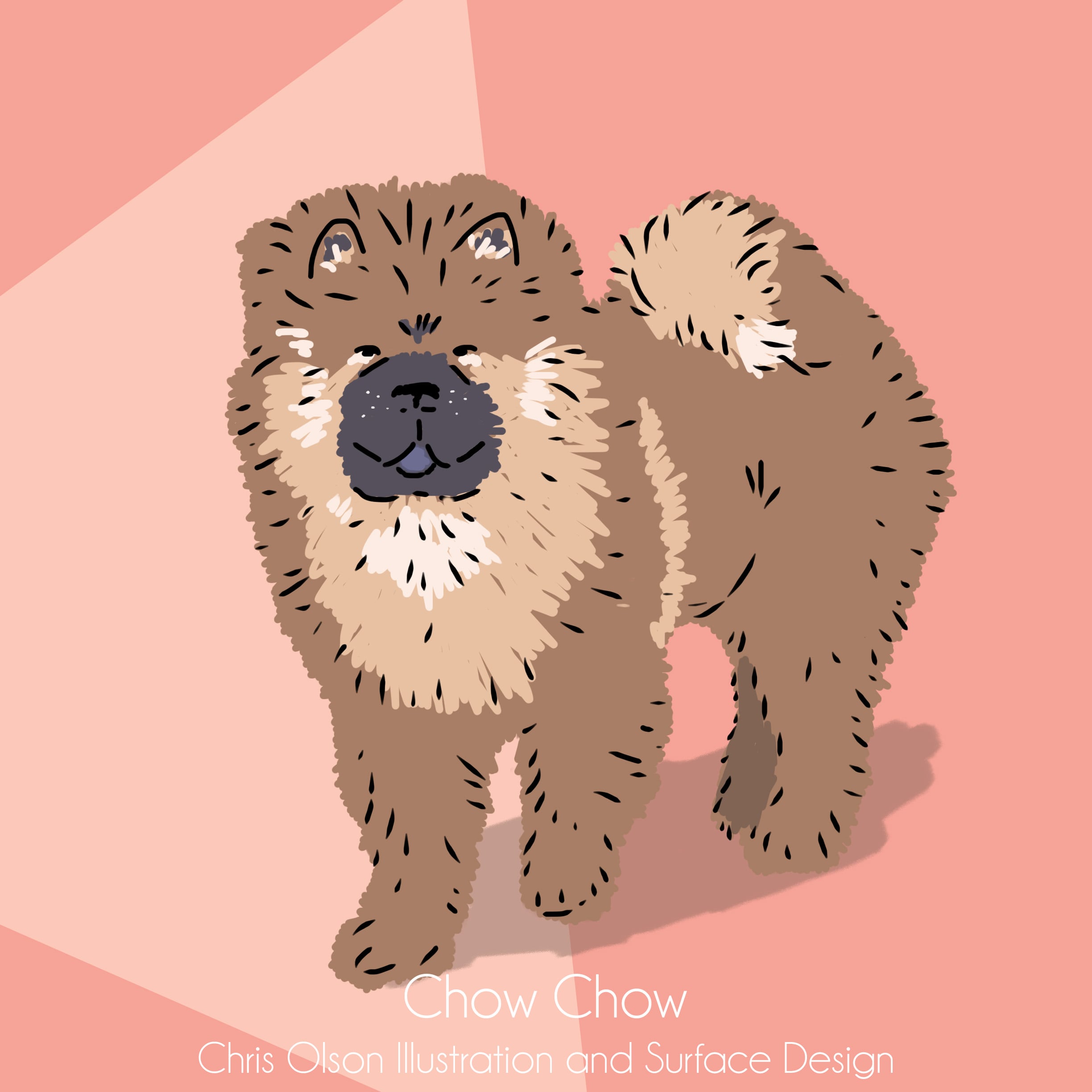 Chow Chow dog illustration by Chris Olson