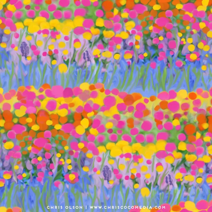 Wildflower Meadow
