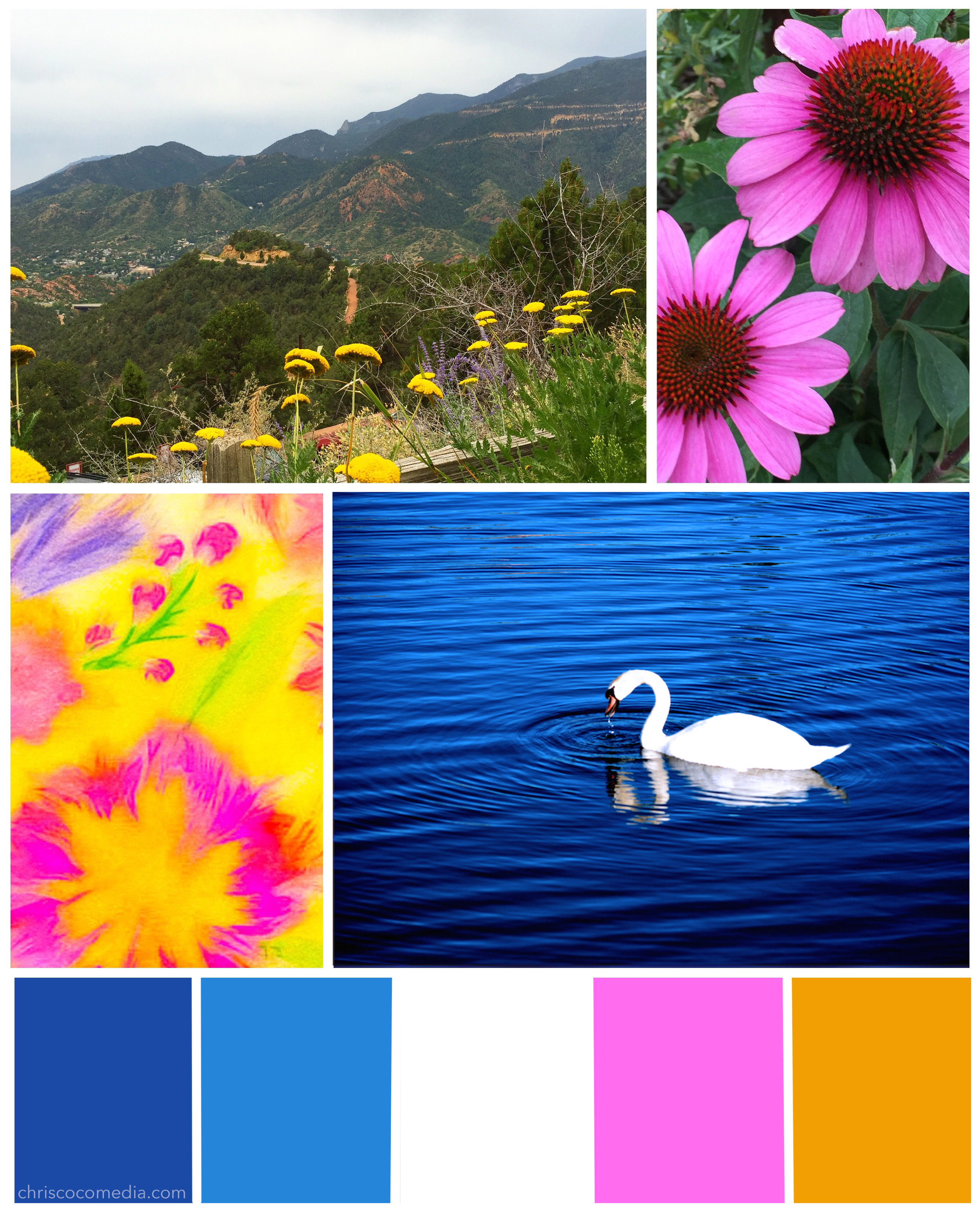 Bright, saturated colors from the Colorado landscape featured in today's Weekend Color Story by Chris Olson