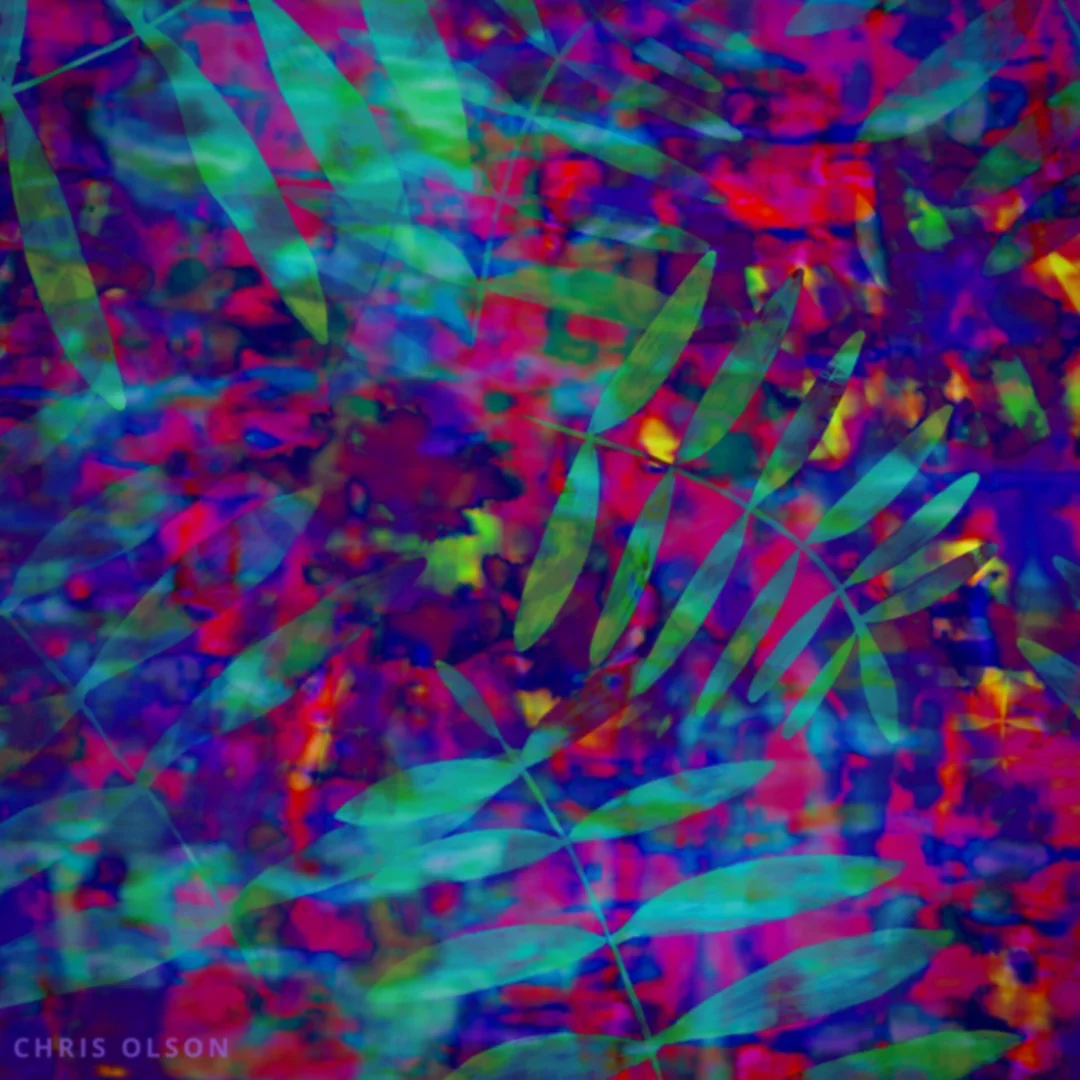 A detail of a tropical pattern by Chris Olson