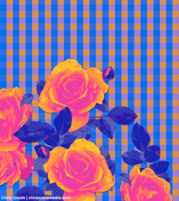 Roses and gingham check art by Chris Olson