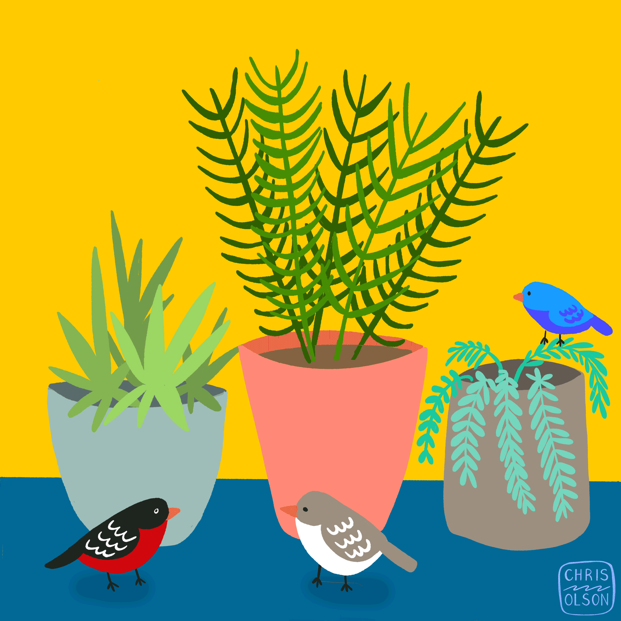 Birds and Plants animation by Chris Olson