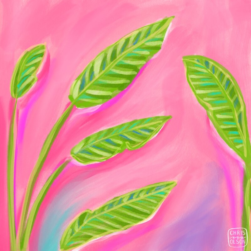 pink and green botanical by chris olson.jpeg