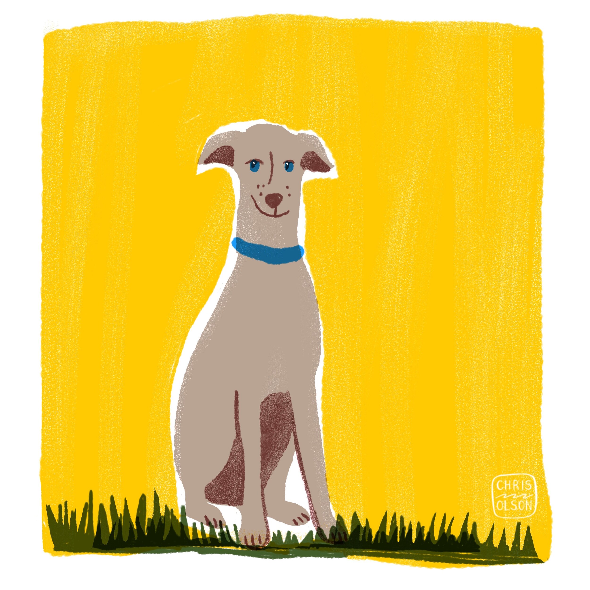 Dog illustration by Chris Olson.