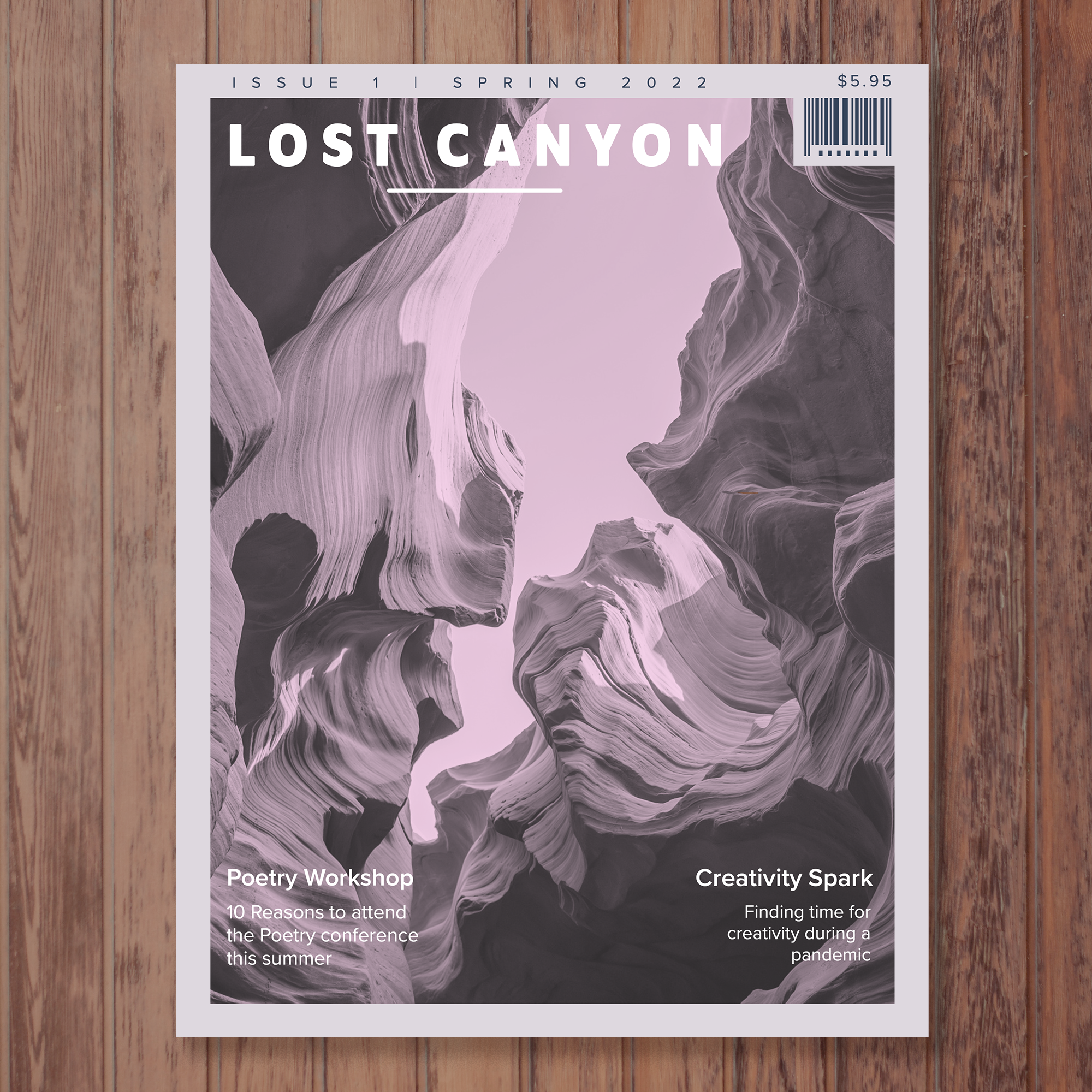 MAGAZINE--lost canyon mock up.png