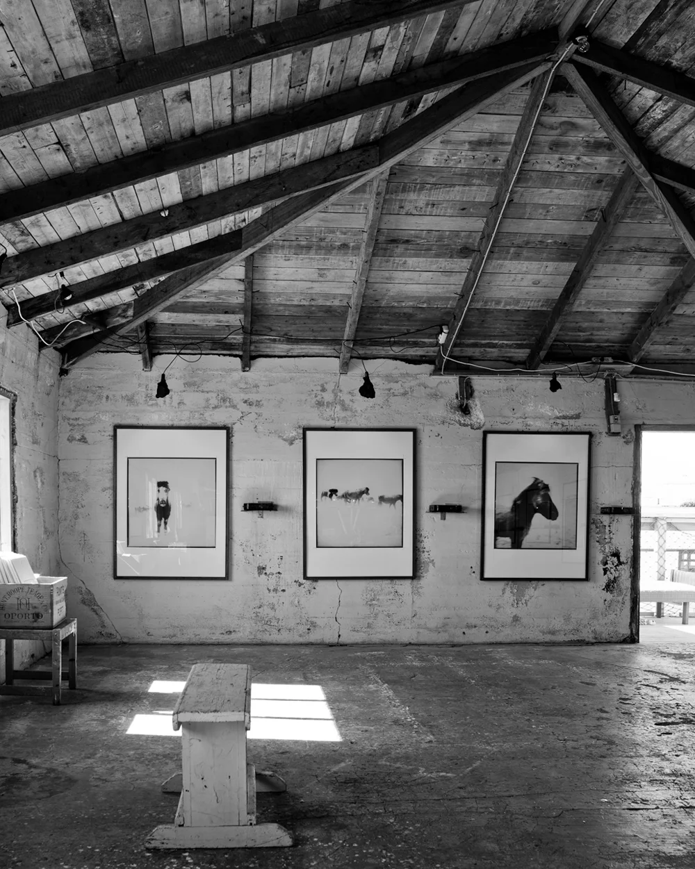  graðaloftið / a white, white day exhibition / digital / 2011 