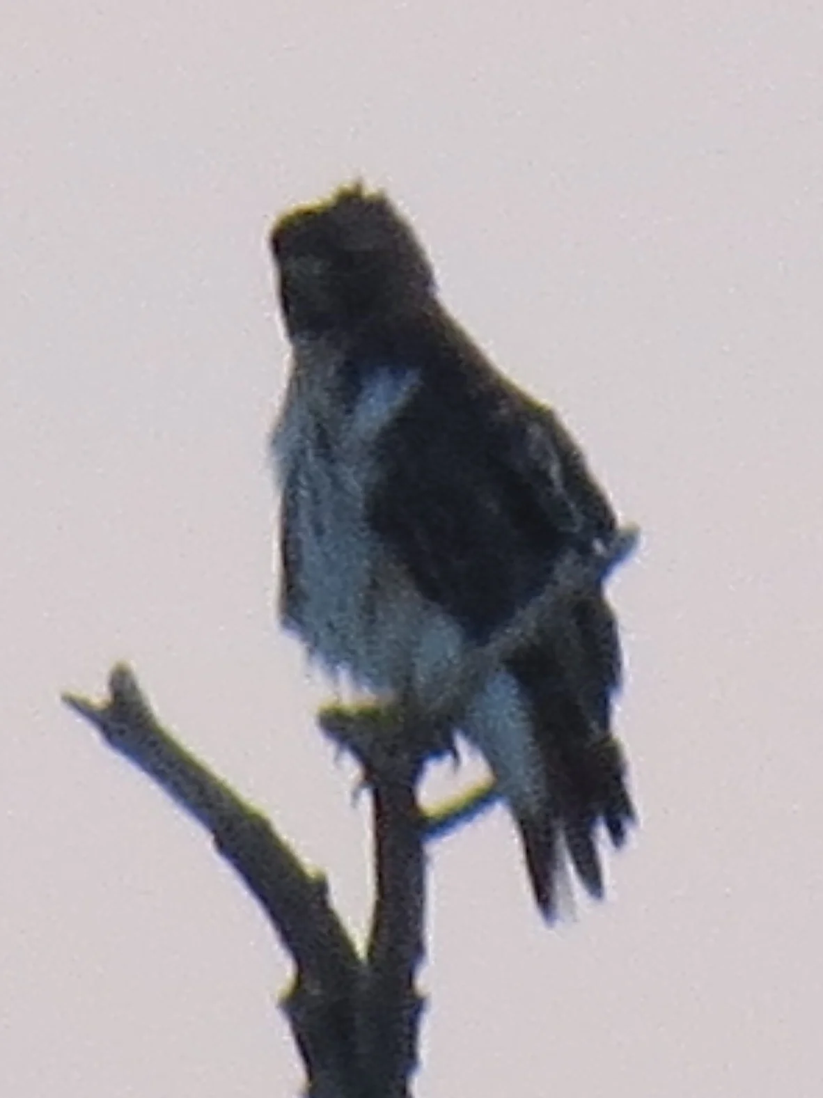 I'm Cold and Wet, Leave me alone