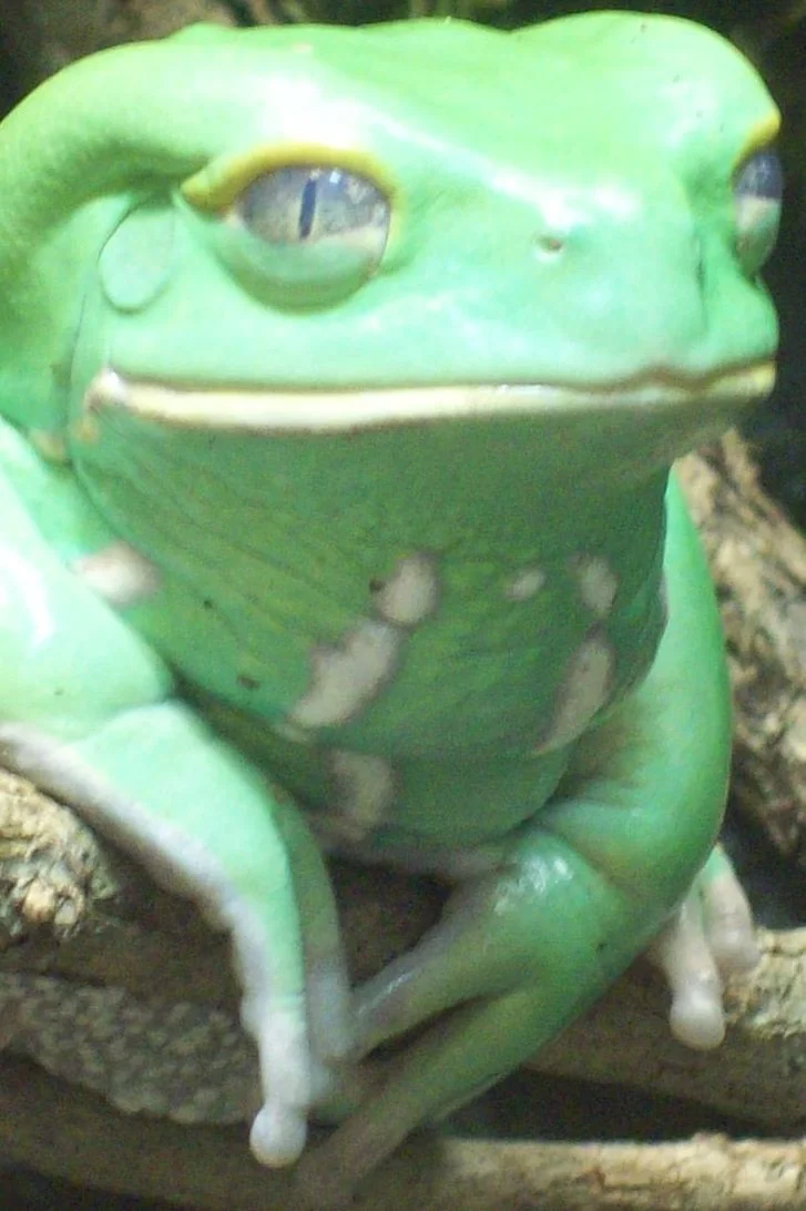 100_2419-001.JPG