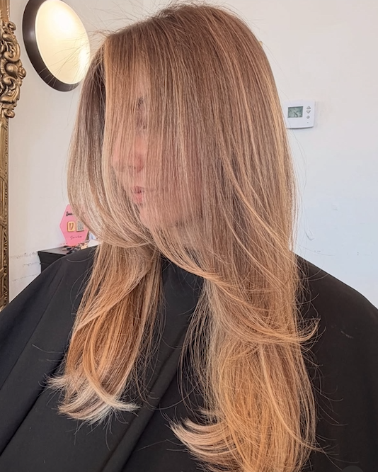 Long Layered Haircut, Blended Custom Color