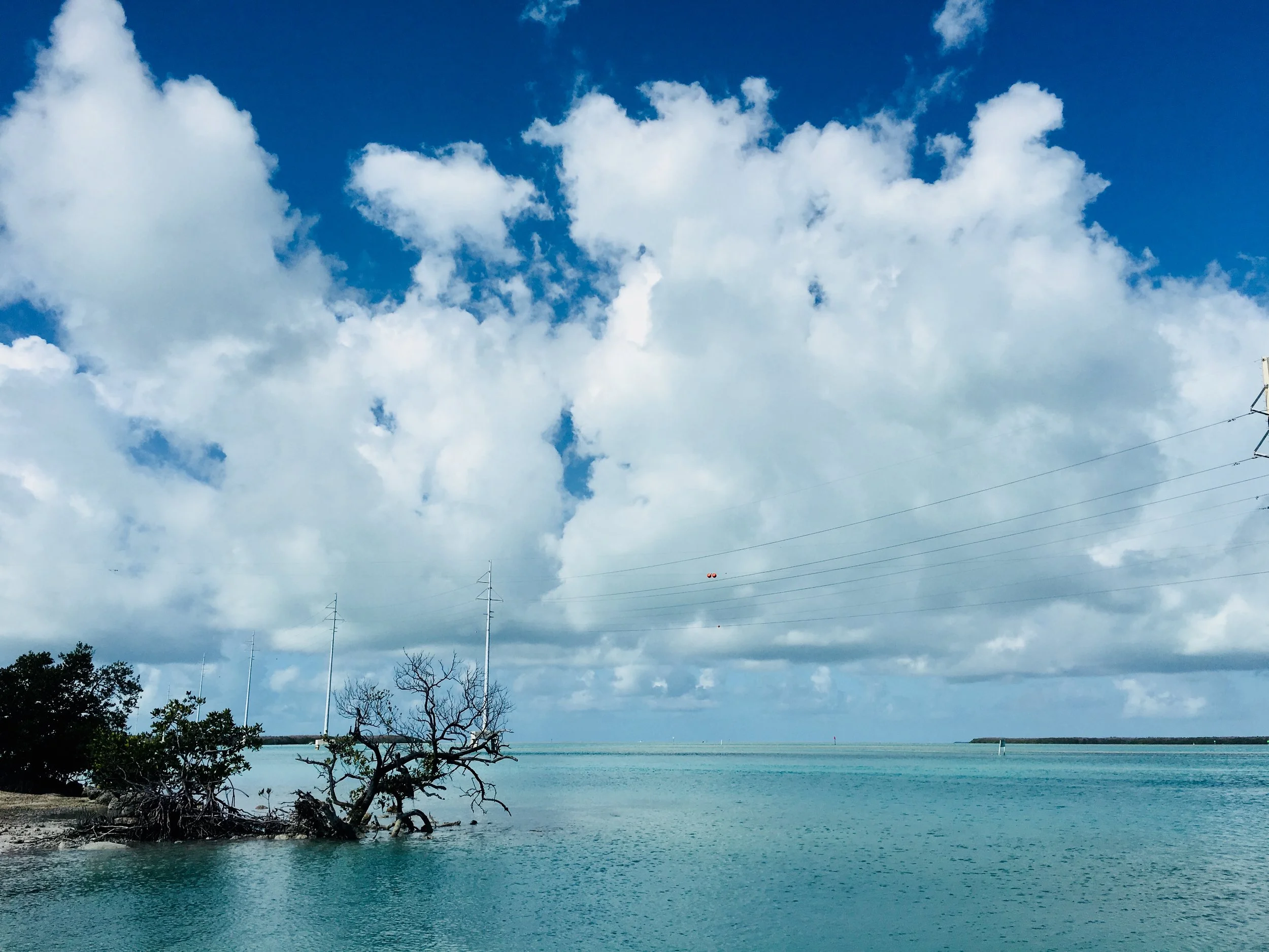 Then a trip down to Key West for a reading, with plenty of car-stopping vistas like this one. 