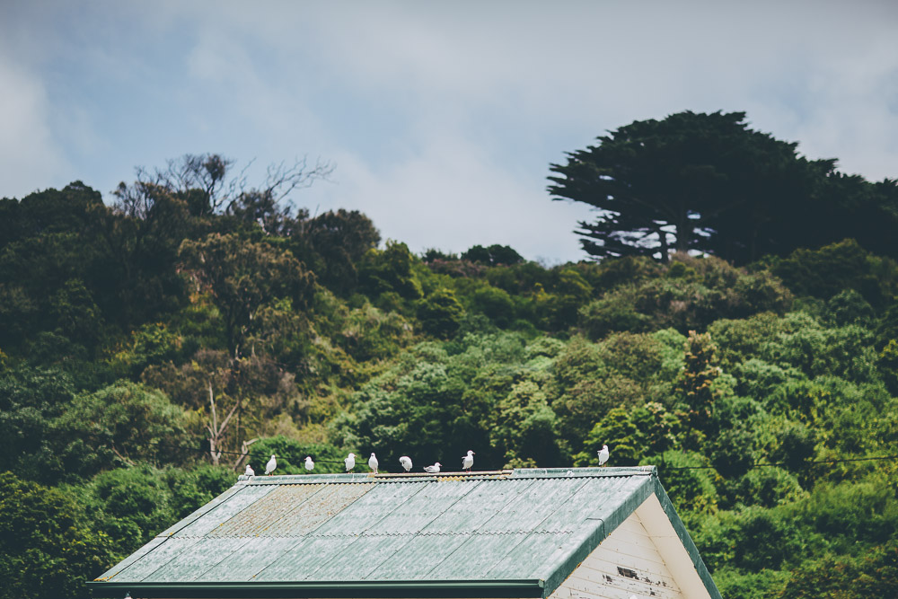Mornington Peninsula Wedding Photographer-19.jpg
