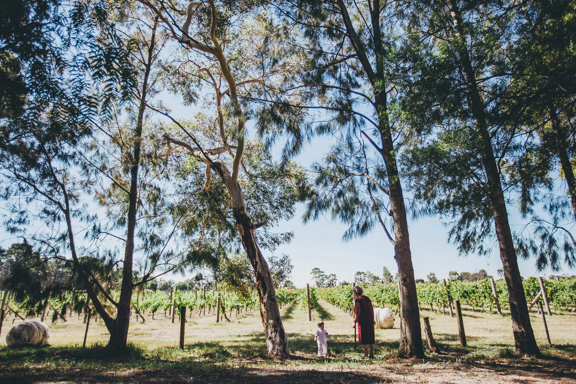 Mornington Peninsula Wedding Photographer-6-2.jpg